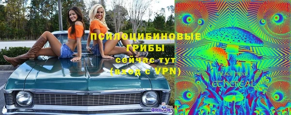 марки lsd Гусиноозёрск